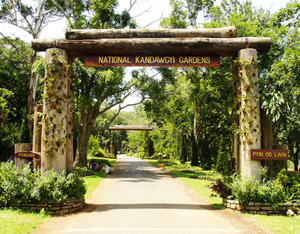 国立熱帯植物園（National Kandawgyi Botanical Garden）