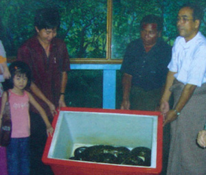 ミャンマーの動物・大蛇の家族