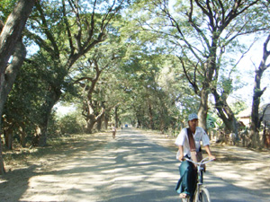 タウンドゥインヂーからネーピドゥに向かう、旧街道。並木道が続く。